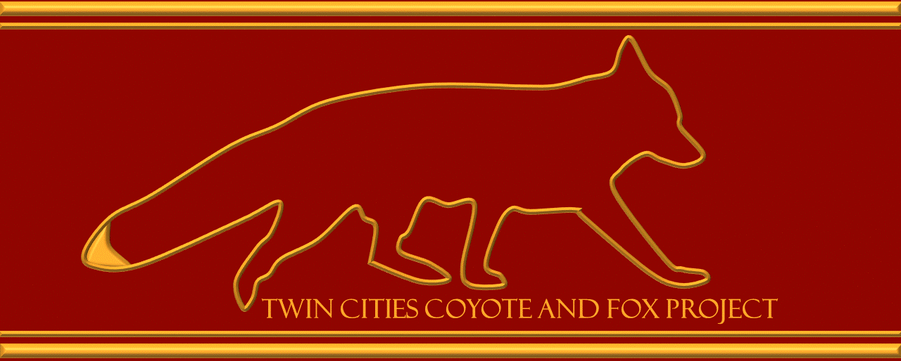 Welcome! | Twin Cities Coyote and Fox Project (TCCFP)